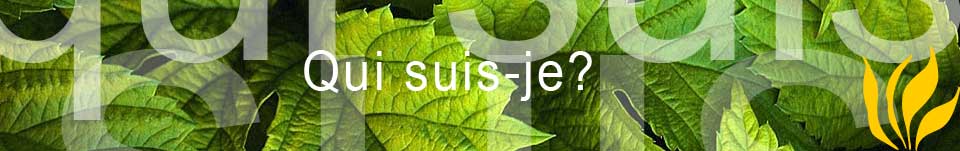 Qui suis-je ? Jmt-design-freelance.com Freelance Internet, freelance joomla, jmt design studio multimedia freelance (jean-marc tola) cration de sites internet joomla, e-commerce web developpement ( php mysql flash infographie ), webdesign, rfrencement, positionnement, google